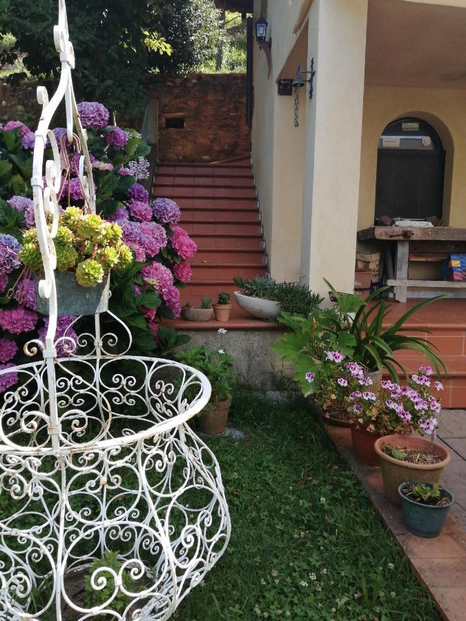 B&B Dal Brillante Seravezza Extérieur photo